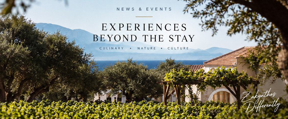 Experiences Beyond the Stay